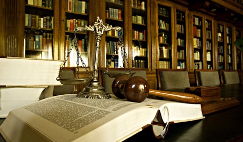 criminal law paper topics
